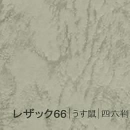 レザック66 <175kg> うす鼠