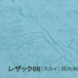 レザック66 <175kg> スカイ
