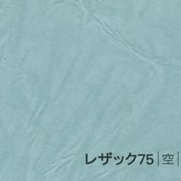 レザック75 <130kg> 空