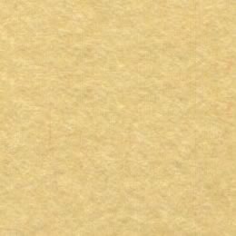 再生色画用紙 <105kg> 白茶