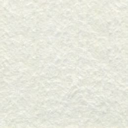 再生色画用紙 <105kg> ミルク