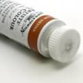 ウィンザー&ニュートン油絵具 552 ローシェンナ (21ml)