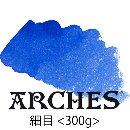 アルシュ水彩紙 細目 <300g> 水張り用カット【丸めて発送】【沖縄不可】