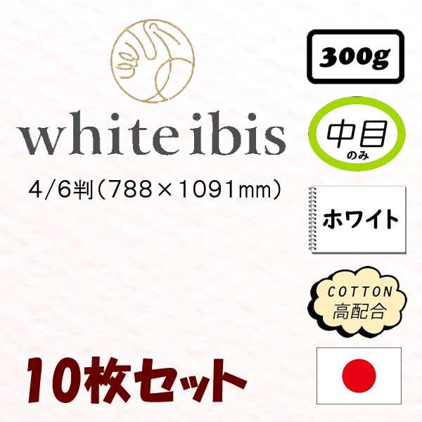 ホワイトアイビス水彩紙<300g>四六判(788×1091mm)【10枚入】