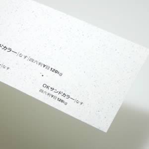OKサンドカラー 120kg なす