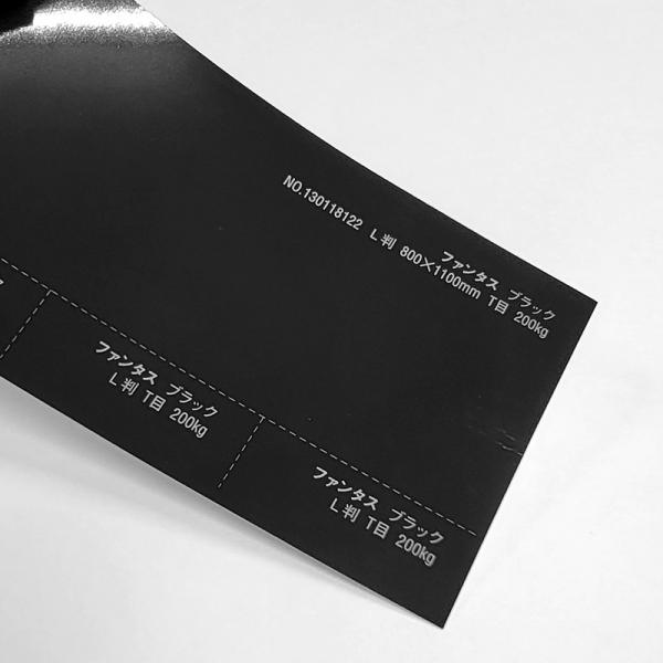 ファンタス<200kg>ブラック