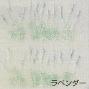 SN-盛り絵転写紙 ラベンダー