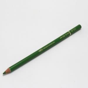 ホルベイン アーチスト色鉛筆 OP262 サップグリーン