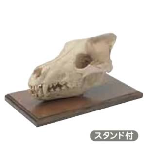 No.SR-5 ダイアーウルフ