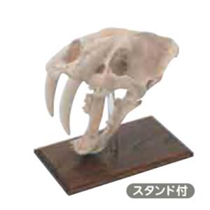 No.SR-6 サーベルタイガー