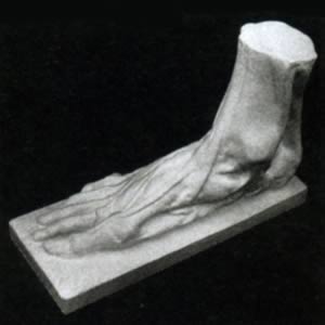 【受注生産】男子の足(解剖) 29cm (岡石こう製)
