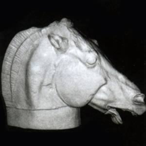 【受注生産】セレネの馬(首部) 900×650mm　(岡石こう製)