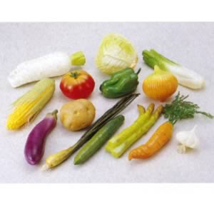 野菜モデル 14種セット