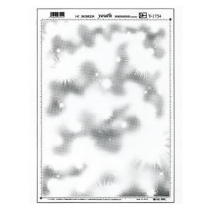 【メーカー在庫限り】アイシースクリーンyouth Y-1754 【65L】