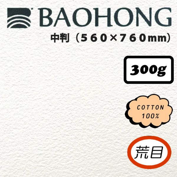 バオホンマスターズ水彩紙 【荒目】 <300g>