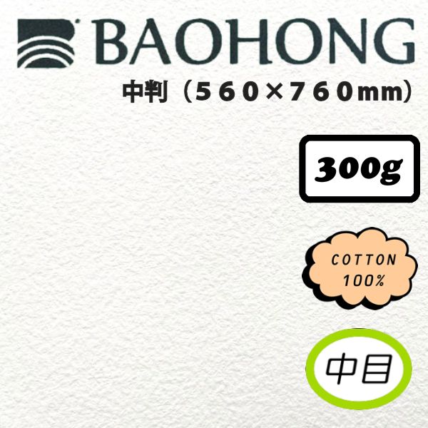バオホンマスターズ水彩紙 【中目】 <300g>