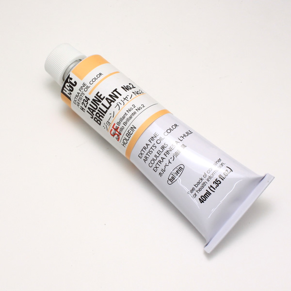 ホルベイン油絵具 HH234 ジョーンブリヤンNo.2 (20号)