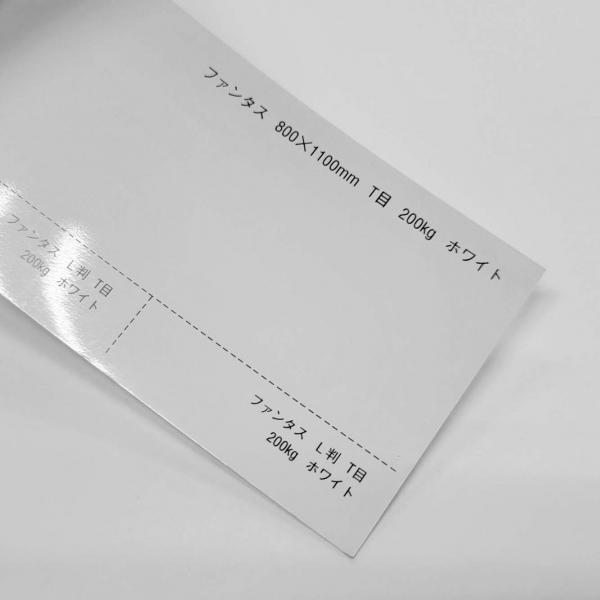 ファンタス<200kg>ホワイト