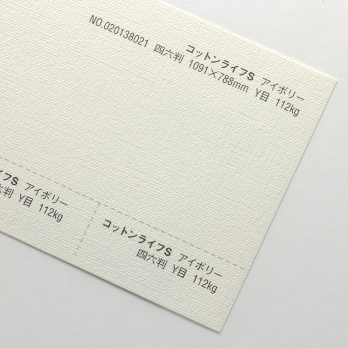 【取寄】コットンライフS<112kg> アイボリー