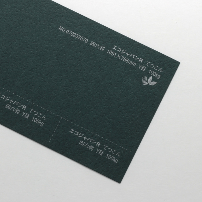 【取寄】エコジャパンR<100kg> てつこん