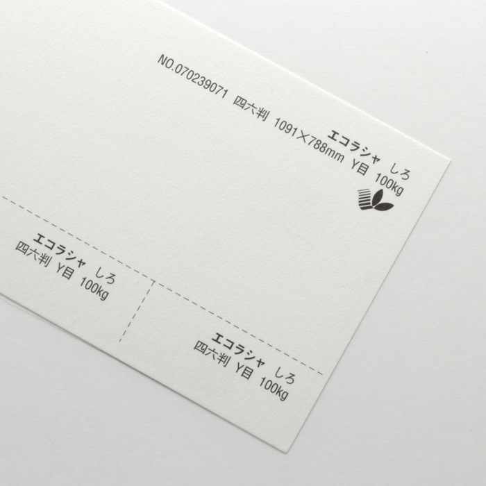 【取寄】エコラシャ<100kg>しろ
