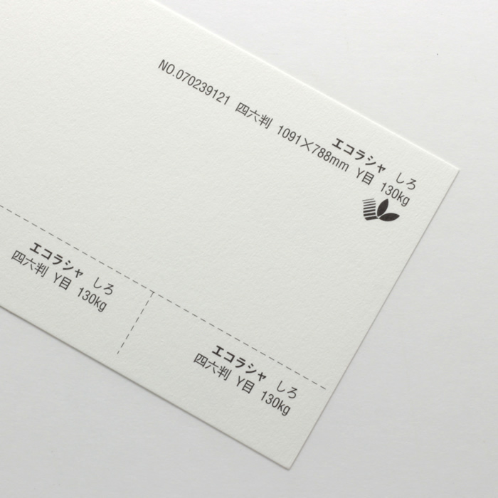 【取寄】エコラシャ<130kg>しろ