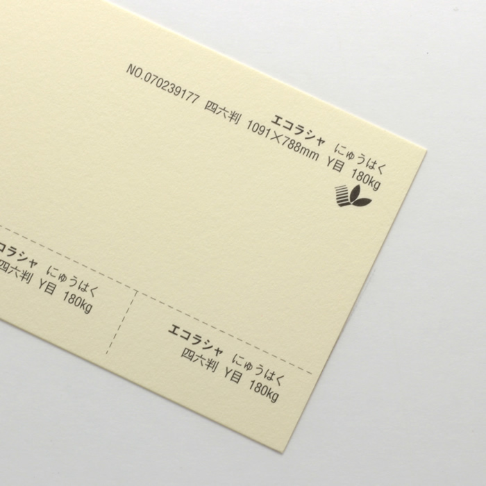 【取寄】エコラシャ<180kg>にゅうはく