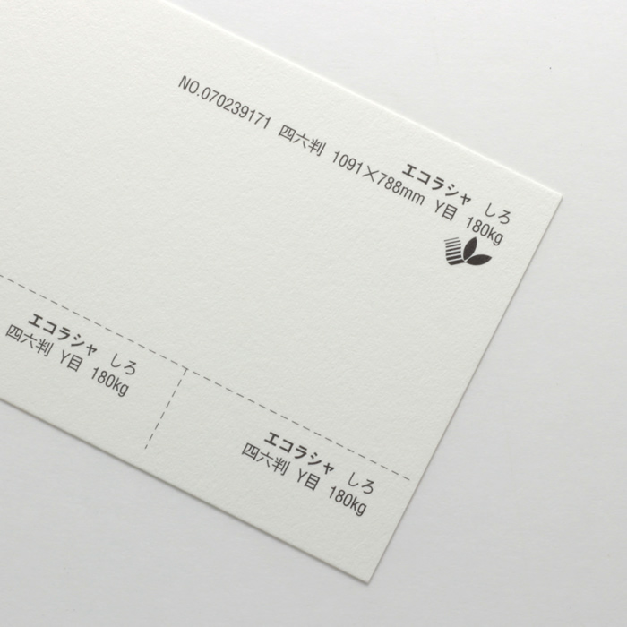 【取寄】エコラシャ<180kg>しろ
