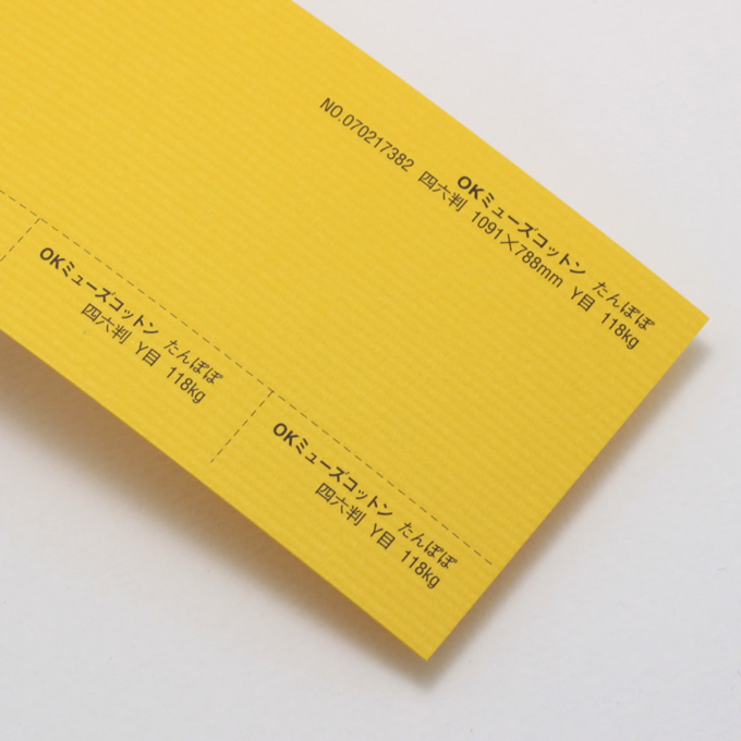 OKミューズコットン 厚口 <118kg> たんぽぽ