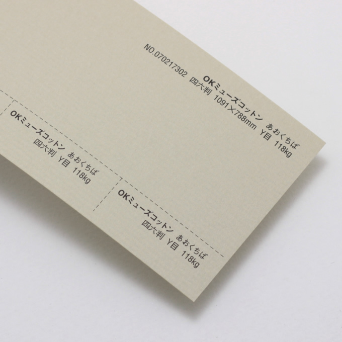 【お取り寄せ色】 OKミューズコットン 厚口 <118kg> あおくちば