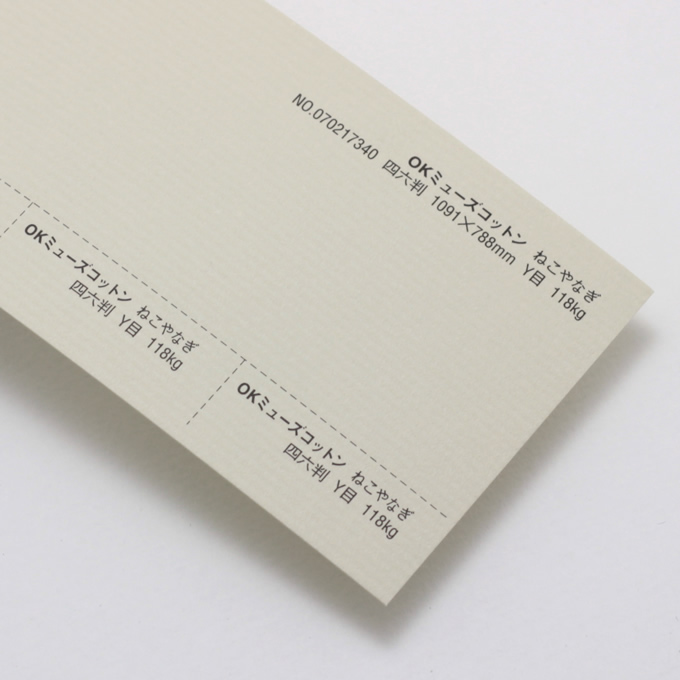 【お取り寄せ色】 OKミューズコットン 厚口 <118kg> ねこやなぎ