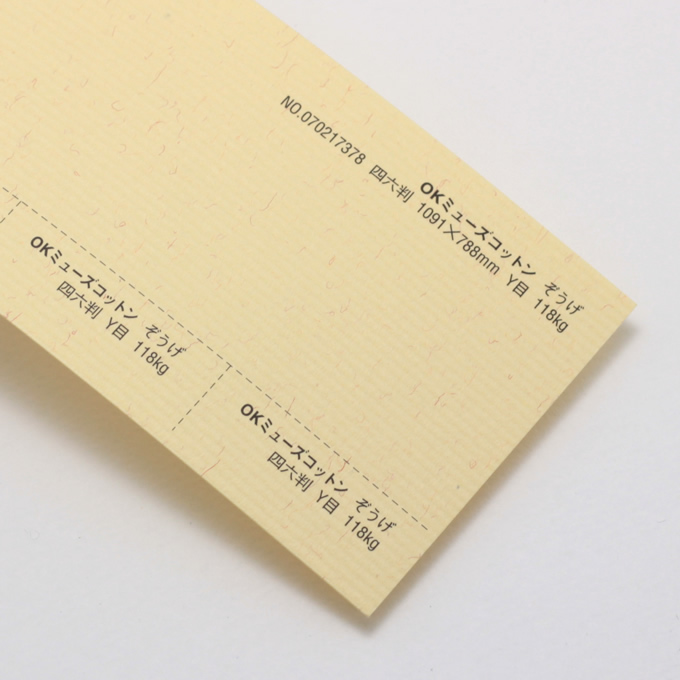OKミューズコットン 厚口 <118kg> ぞうげ
