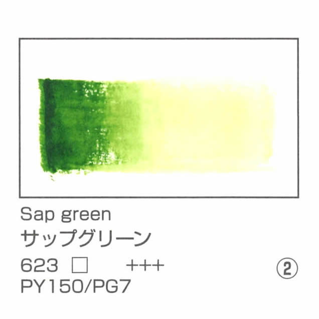 レンブラント水彩絵具 10ml 623 サップグリーン