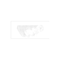 【お取り寄せ】 マツダクイックNo.1 油絵具(20号) 001 パーマネントホワイト