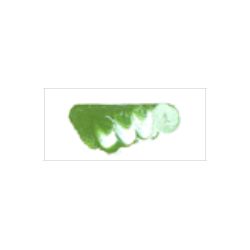 【お取り寄せ】 マツダクイックNo.1 油絵具(20号) 005 マツダグリーンライト