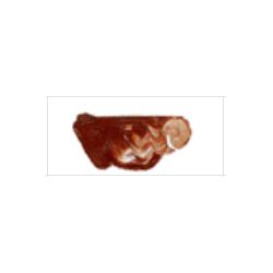 【お取り寄せ】 マツダクイックNo.1 油絵具(20号) 009 バーントシェンナ
