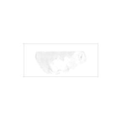 マツダクイックNo.1 油絵具(20号) 013 ジンクホワイト