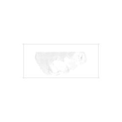 マツダクイックNo.1 油絵具(20号) 014 シルバーホワイト