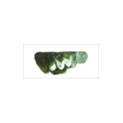 【お取り寄せ】 マツダクイックNo.1 油絵具(20号) 021 サップグリーン