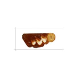 【お取り寄せ】 マツダクイックNo.1 油絵具(20号) 029 ローシェンナ―