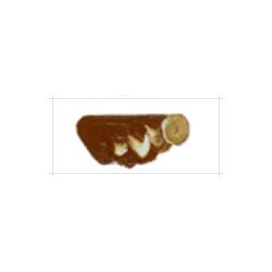 【お取り寄せ】 マツダクイックNo.1 油絵具(20号) 030 ローアンバー