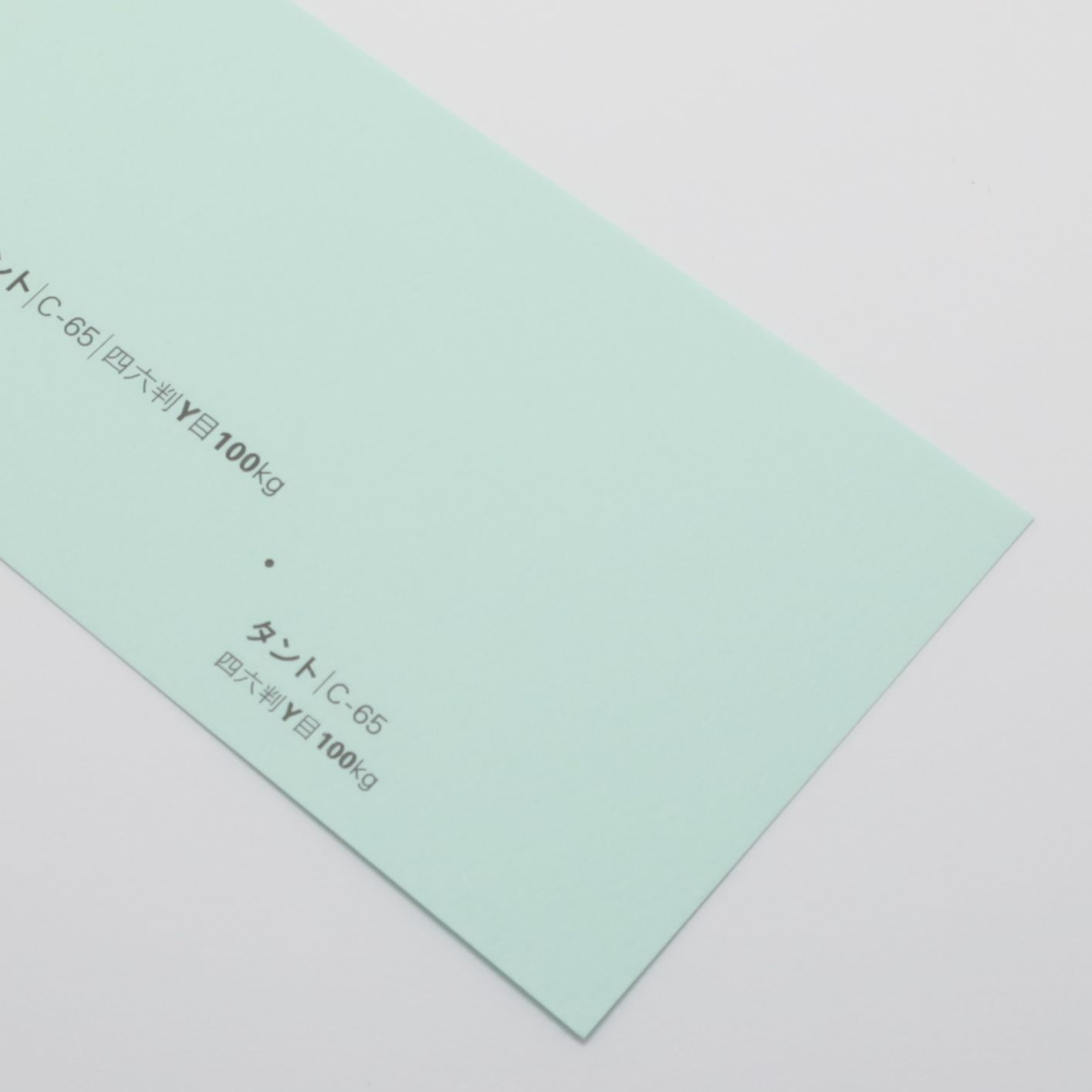 タント<100kg> C-65※