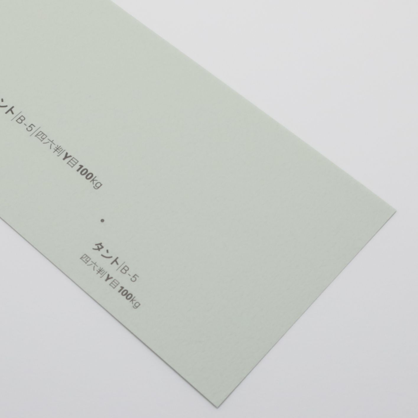タント <100kg> B-5