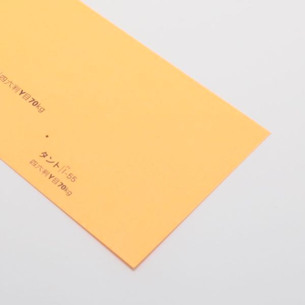 【取寄】タント<70kg> I-55 (蛍光色)