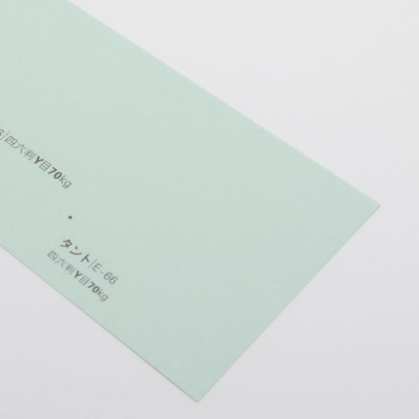 【取寄】タント<70kg> E-66