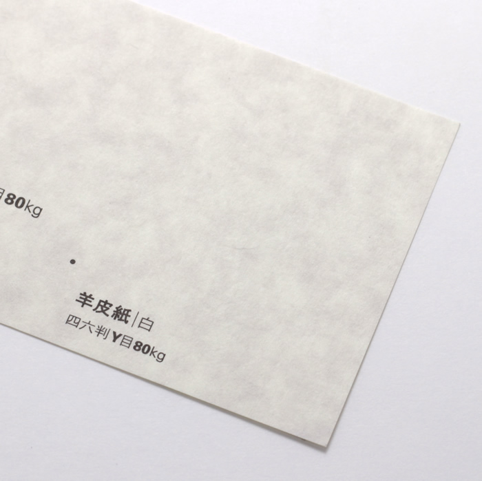 羊皮紙N<80> 白