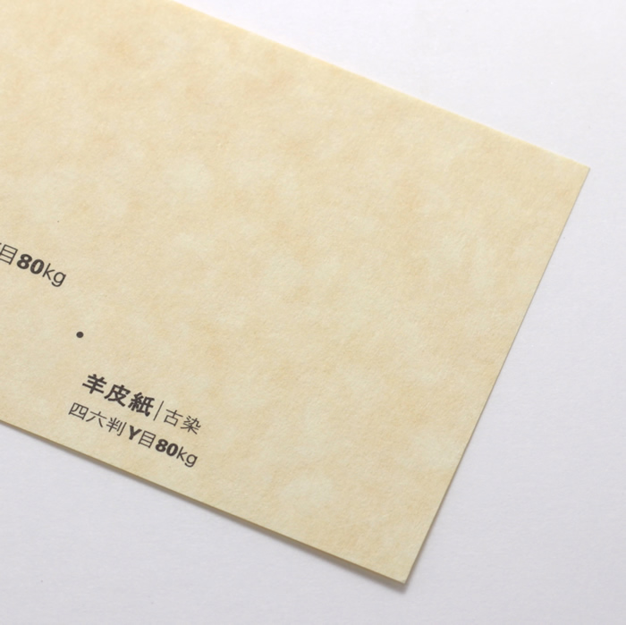羊皮紙N<80> 古染