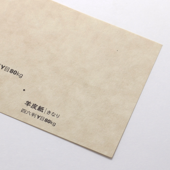 羊皮紙N<80> きなり