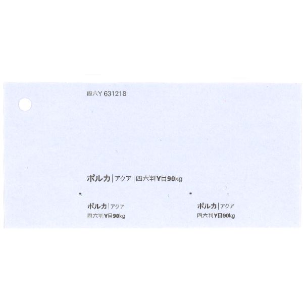 【取寄】ポルカ 90kg アクア