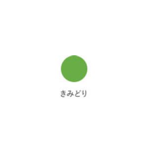 クレヨン太巻  きみどり LY#27